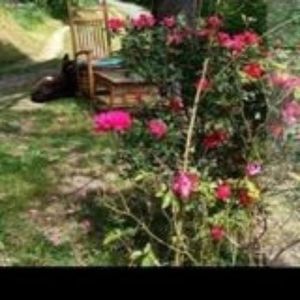 Meet your Posher, Teresa